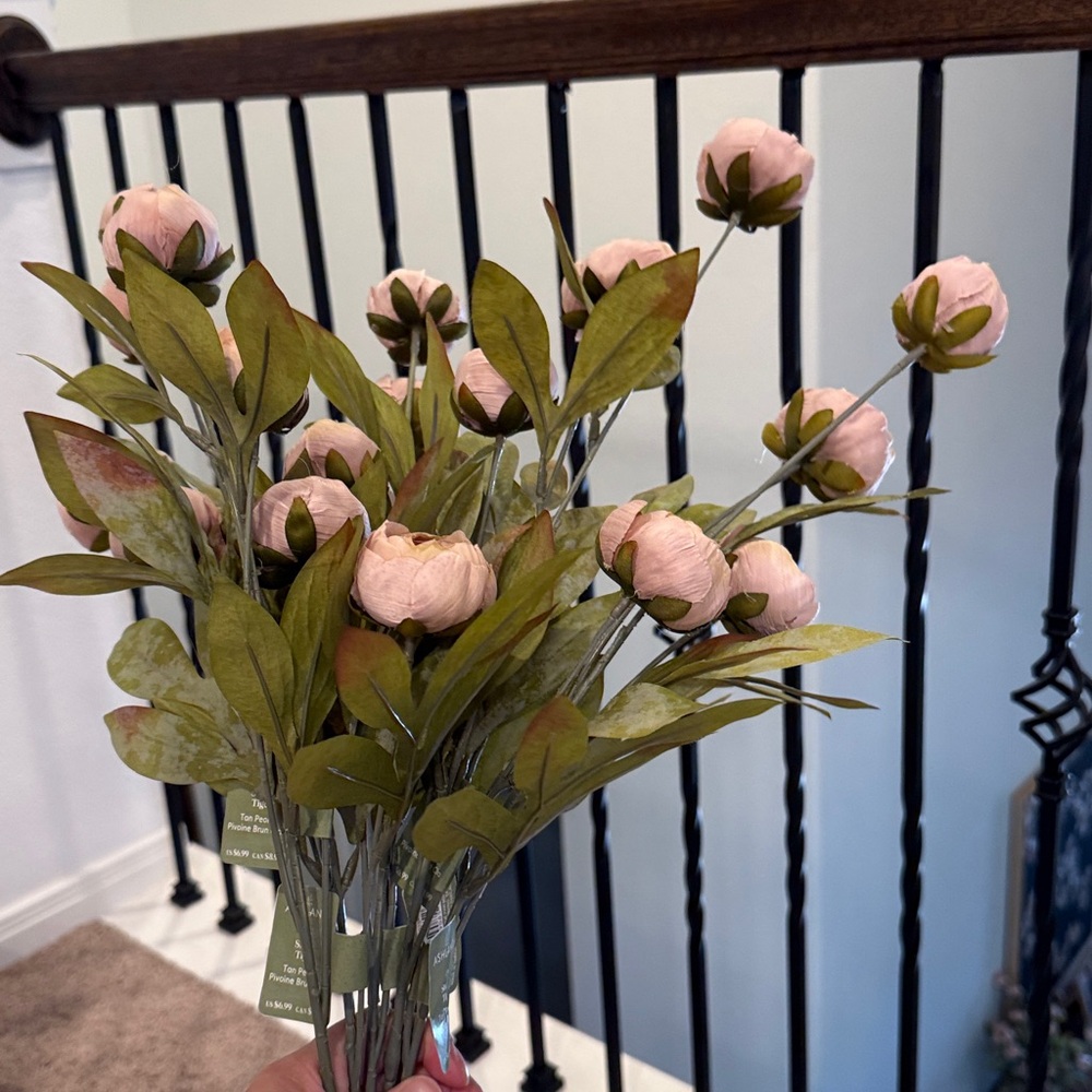 Tan Peony by Ashland - Set of 5
